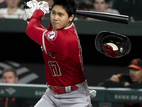 Baseball batter