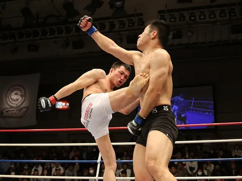 Mixed martial arts bout